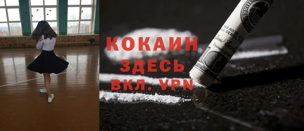 Альфа ПВП Бородино