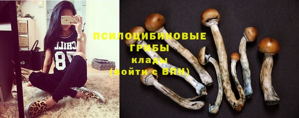 мескалин Бронницы