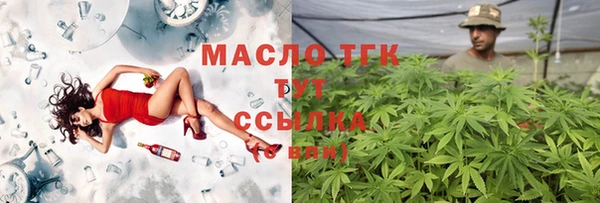 Альфа ПВП Бородино
